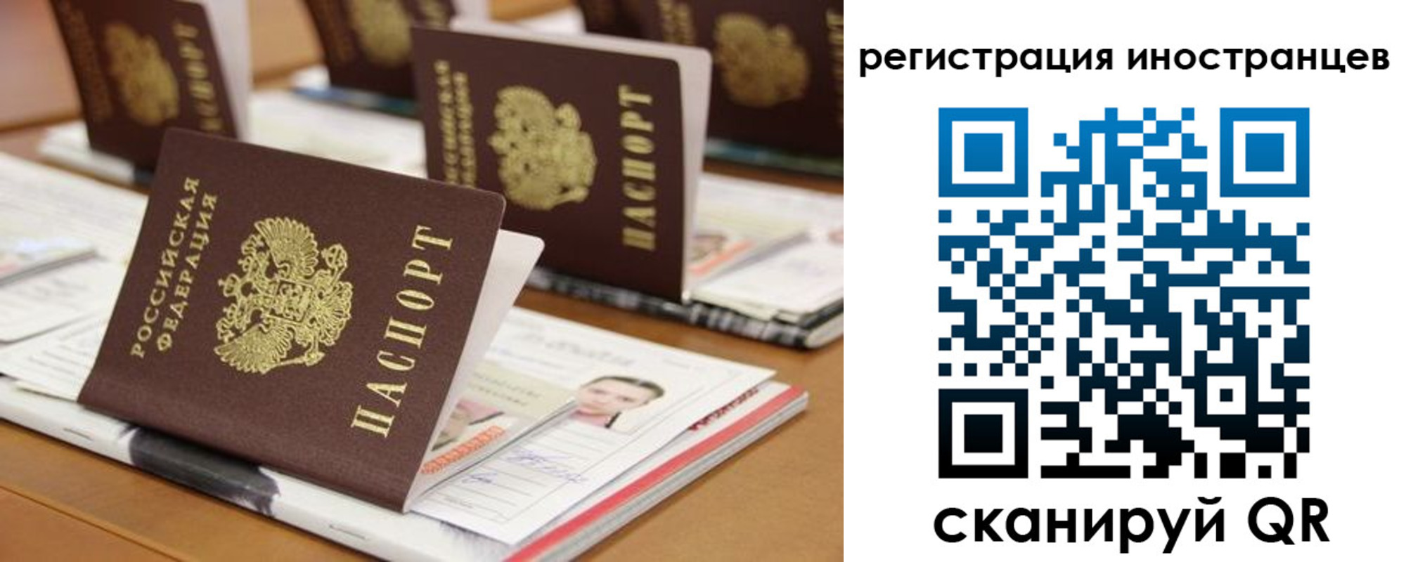 пропишу в квартире в Московской области