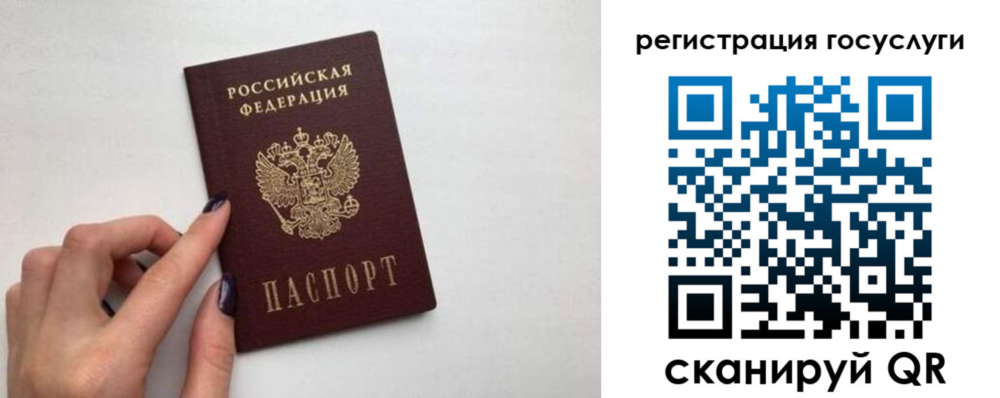 временная регистрация гарантия в Московской области